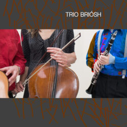 im Umbau Trio Briosh